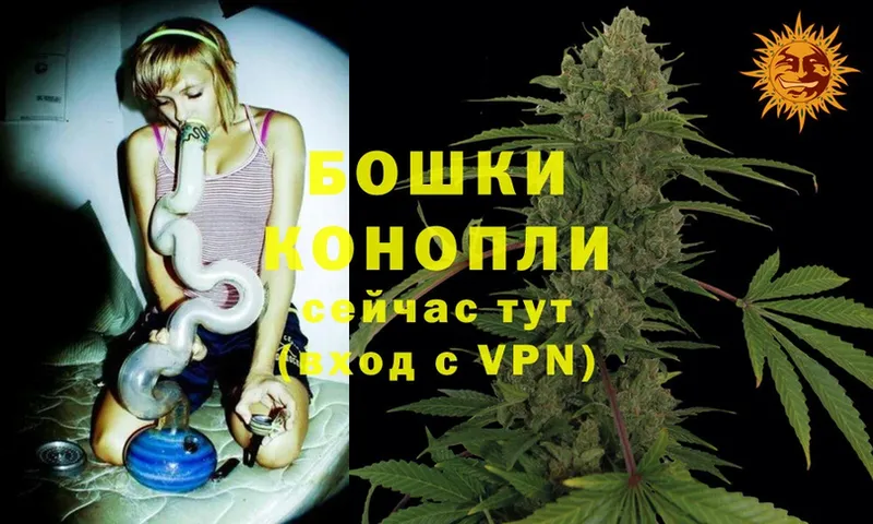 Бошки Шишки Ganja  Саров 